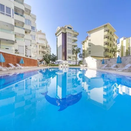 Begonia In Oba * Alanya